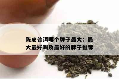 陈皮普洱哪个牌子更大：更大更好喝及更好的牌子推荐