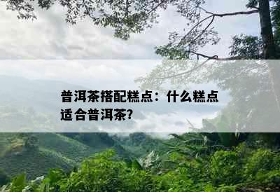 普洱茶搭配糕点：什么糕点适合普洱茶？