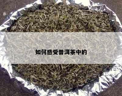 如何感受普洱茶中的