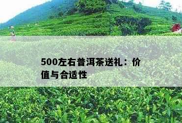 500左右普洱茶送礼：价值与合适性