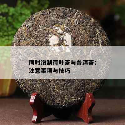 同时泡制荷叶茶与普洱茶：注意事项与技巧