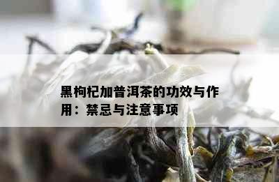 黑枸杞加普洱茶的功效与作用：禁忌与注意事项