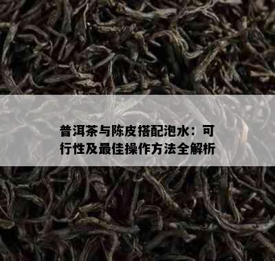 普洱茶与陈皮搭配泡水：可行性及更佳操作方法全解析