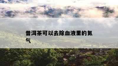 普洱茶可以去除血液里的氮气