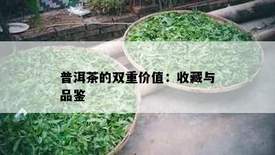 普洱茶的双重价值：收藏与品鉴