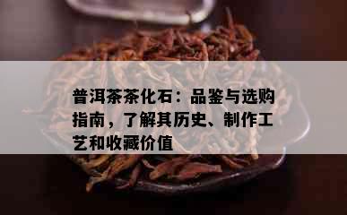 普洱茶茶化石：品鉴与选购指南，了解其历史、制作工艺和收藏价值