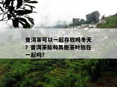 普洱茶可以一起存放吗冬天？普洱茶能和其他茶叶放在一起吗？