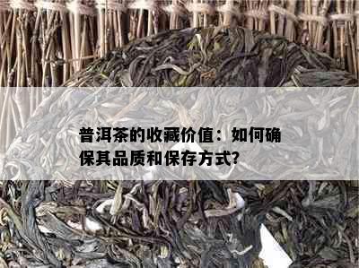 普洱茶的收藏价值：如何确保其品质和保存方式？