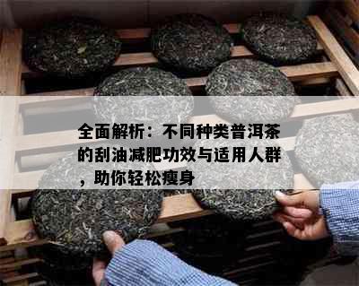 全面解析：不同种类普洱茶的刮油减肥功效与适用人群，助你轻松瘦身