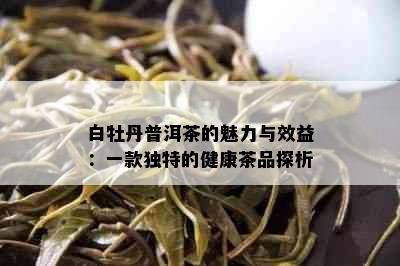 白牡丹普洱茶的魅力与效益：一款独特的健康茶品探析