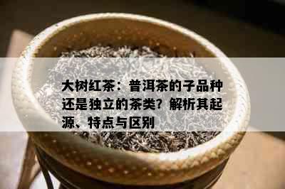 大树红茶：普洱茶的子品种还是独立的茶类？解析其起源、特点与区别