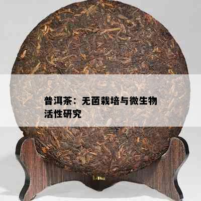 普洱茶：无菌栽培与微生物活性研究