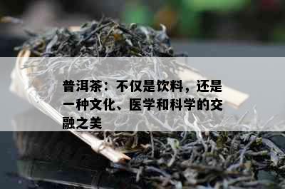 普洱茶：不仅是饮料，还是一种文化、医学和科学的交融之美