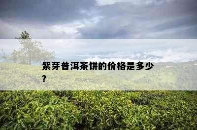 紫芽普洱茶饼的价格是多少？