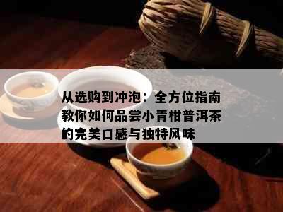 从选购到冲泡：全方位指南教你如何品尝小青柑普洱茶的完美口感与独特风味