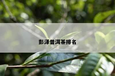 彭泽普洱茶排名