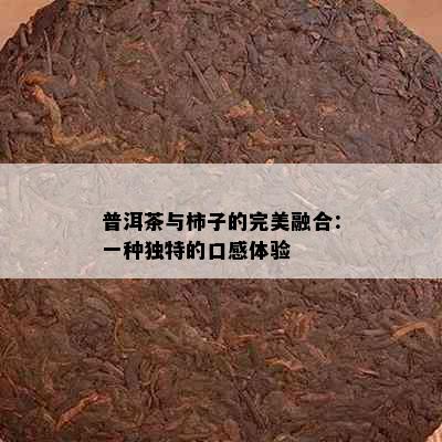 普洱茶与柿子的完美融合：一种独特的口感体验