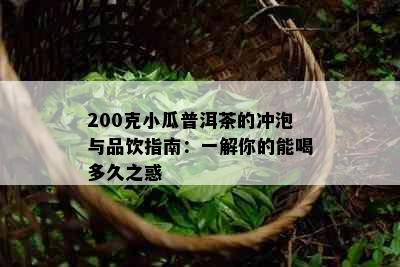 200克小瓜普洱茶的冲泡与品饮指南：一解你的能喝多久之惑