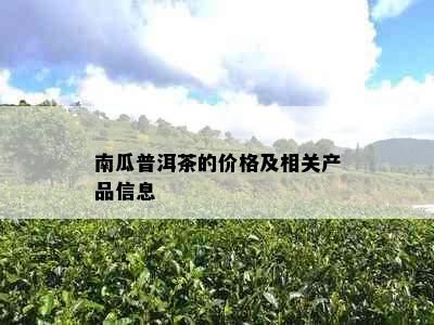 南瓜普洱茶的价格及相关产品信息