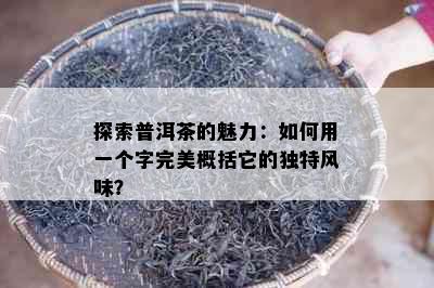 探索普洱茶的魅力：如何用一个字完美概括它的独特风味？