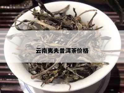 云南夷夫普洱茶价格