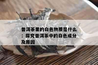 普洱茶里的白色物质是什么：探究普洱茶中的白色成分及原因