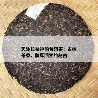 天沐拉祜神韵普洱茶：古树茶香，醇厚回甘的秘密