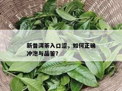 新普洱茶入口涩，如何正确冲泡与品鉴？