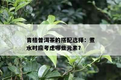 青桔普洱茶的搭配选择：煮水时应考虑哪些元素？