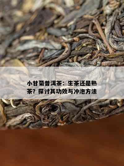 小甘菊普洱茶：生茶还是熟茶？探讨其功效与冲泡方法