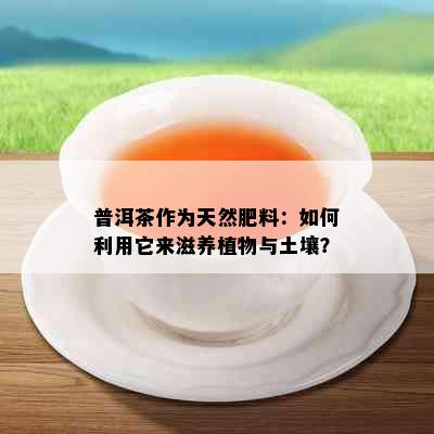 普洱茶作为天然肥料：如何利用它来滋养植物与土壤？