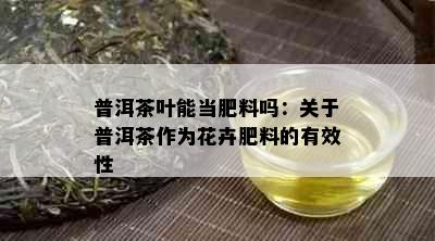 普洱茶叶能当肥料吗：关于普洱茶作为花卉肥料的有效性