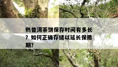 熟普洱茶饼保存时间有多长？如何正确存储以延长保质期？