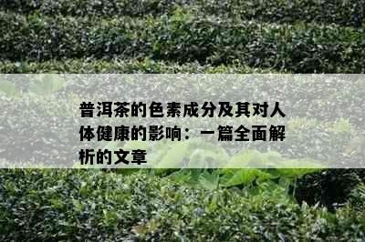 普洱茶的色素成分及其对人体健康的影响：一篇全面解析的文章