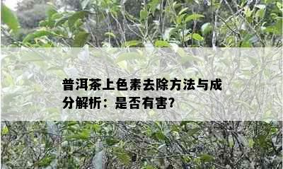 普洱茶上色素去除方法与成分解析：是否有害？