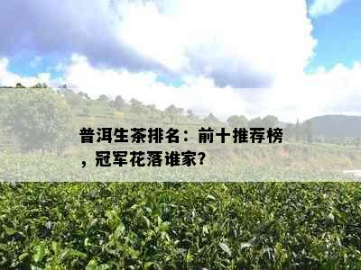 普洱生茶排名：前十推荐榜，冠军花落谁家？