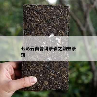 七彩云南普洱茶雀之韵熟茶饼