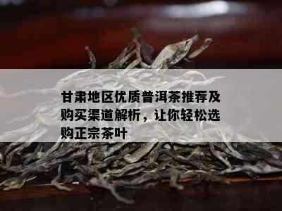 甘肃地区优质普洱茶推荐及购买渠道解析，让你轻松选购正宗茶叶