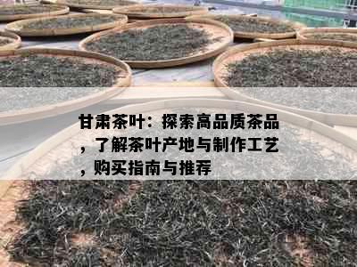 甘肃茶叶：探索高品质茶品，了解茶叶产地与制作工艺，购买指南与推荐