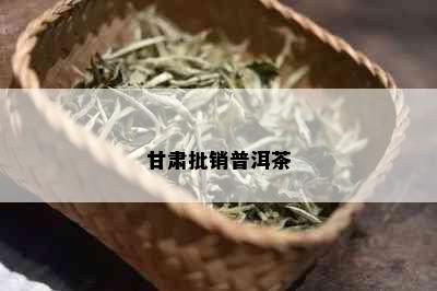 甘肃批销普洱茶