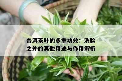 普洱茶叶的多重功效：洗脸之外的其他用途与作用解析