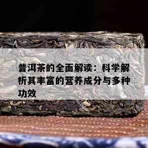 普洱茶的全面解读：科学解析其丰富的营养成分与多种功效