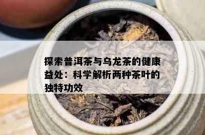 探索普洱茶与乌龙茶的健康益处：科学解析两种茶叶的独特功效