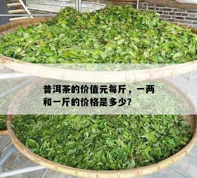 普洱茶的价值元每斤，一两和一斤的价格是多少？