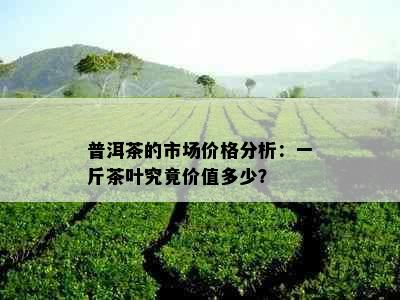 普洱茶的市场价格分析：一斤茶叶究竟价值多少？