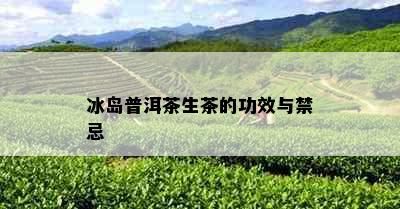 冰岛普洱茶生茶的功效与禁忌