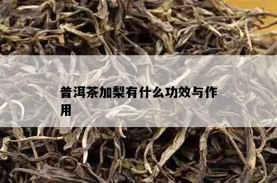 普洱茶加梨有什么功效与作用