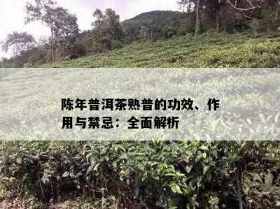 陈年普洱茶熟普的功效、作用与禁忌：全面解析