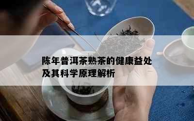 陈年普洱茶熟茶的健康益处及其科学原理解析