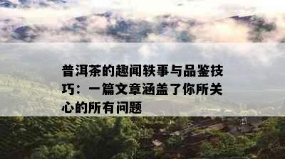 普洱茶的趣闻轶事与品鉴技巧：一篇文章涵盖了你所关心的所有问题